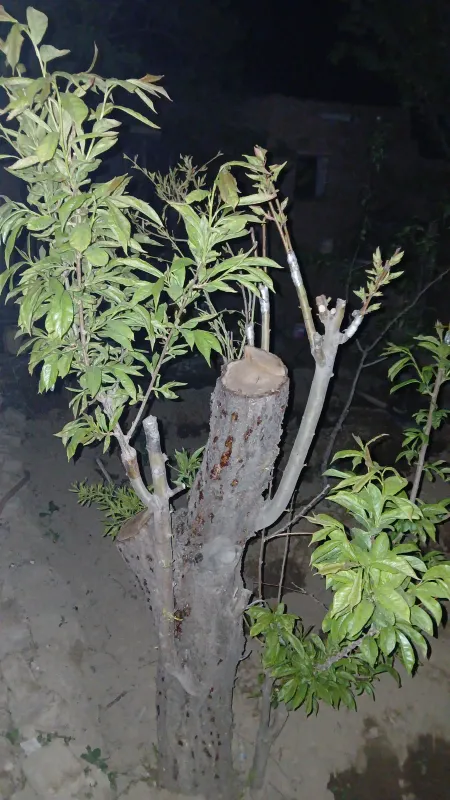 زمین فروشی